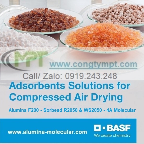 ĐẠI LÝ HẠT HÚT ẨM BASF/USA